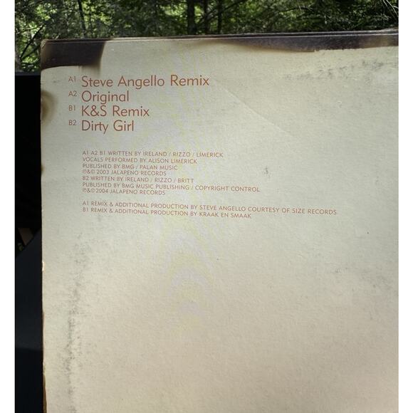 IKON Do You Dream? 12" Vinyl Record Steve Angello Kraak en Smaak Mixes Remix - Picture 4 of 8